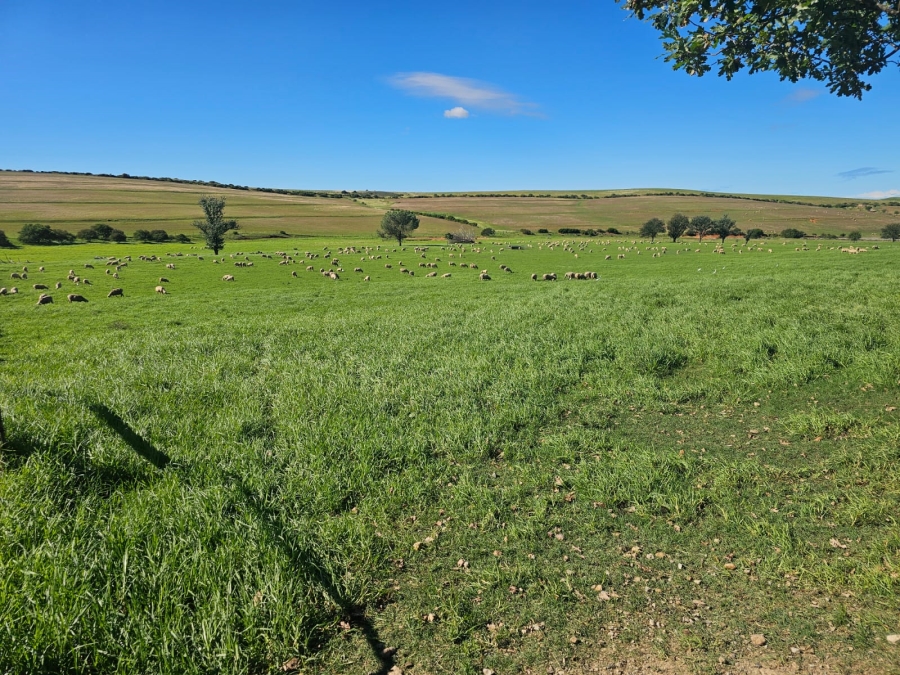 4 Bedroom Property for Sale in Riversdale Rural Western Cape